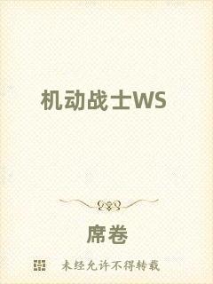 機(jī)動戰(zhàn)士WS
