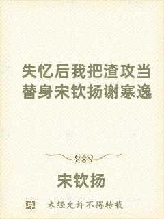 失憶后我把渣攻當(dāng)替身宋欽揚謝寒逸