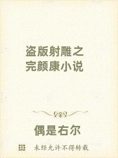 盜版射雕之完顏康小說(shuō)
