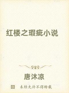紅樓之瑕疵小說(shuō)