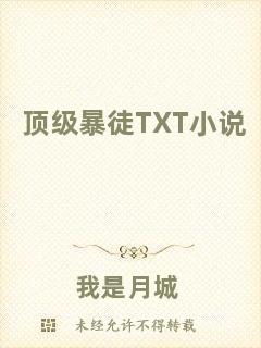 頂級(jí)暴徒TXT小說(shuō)