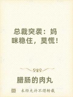 總裁突襲：媽咪穩(wěn)住，莫慌！