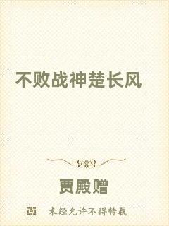 不敗戰(zhàn)神楚長風